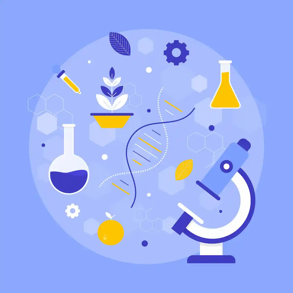 Illustration de Bilans biologiques les plus prescrits par les généralistes en ville